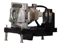 InFocus - Lampa - 400 Watt - 2000 timme/timmar (standard läge) / 2500 timme/timmar (strömsparläge) - för InFocus IN5552L, IN5554L, IN5555L SP-LAMP-082