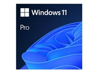 Windows 11 Pro - Licens - 1 licens - OEM - DVD - 64-bit - engelska FQC-10528