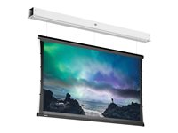 Da-Lite Tensioned DescenderPro - Projektorduk - motoriserad - 230 V - 158.27" (402 cm) - 16:9 - HD Progressive 1.1 Contrast - RAL 9016 10101645