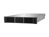 HPE ProLiant DL380 Gen11 - kan monteras i rack Xeon Gold 5416S 2 GHz - 64 GB - SSD 2 x 480 GB P81784-425