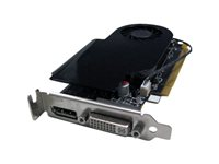 NVIDIA GeForce GT 630 - Grafikkort - GF GT 630 - 2 GB DDR3 - PCIe 3.0 låg profil - DVI, DisplayPort - för ESPRIMO C710, E400, E510, E710, E910 S26361-F3000-L631