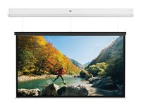 Da-Lite DescenderPro - Projektorduk - takmontering - motoriserad - 230 V - 143" (363 cm) - 4:3 - Matte White - RAL 9016 10101741