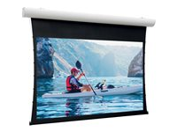 Da-Lite Tensioned Elpro Concept - Projektorduk - takmontering, väggmontering - motoriserad - 230 V - 139.76" (355 cm) - 16:9 - HD Progressive 1.1 Contrast - RAL 9016 10101049