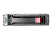 HPE Midline - Hårddisk - 6 TB - hot-swap - 3.5" LFF - SAS 6Gb/s - 7200 rpm - för HP D6000 (3.5" LFF); HPE D2600 (3.5" LFF); Disk Enclosure D2600, D6000 (3.5" LFF) 782669-B21