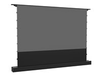 Multibrackets M - Projektionsskärm med golvställ - LS, elektrisk, stigande, RS232 - fristående - motoriserad - 118" (300 cm) - 16:9 - ALR UST - svart 7350105218620