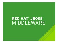 JBoss Data Grid - premiumabonnemang (3 år) - 4 kärnor MW00130F3