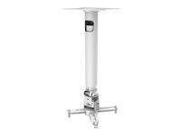 Vision Techmount TM-TELE - Monteringssats (takmontering, teleskopstav) - för projektor - satinvit - takmonterbar TM-TELE