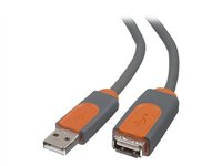 Belkin PRO Series USB Extension Cable - USB-förlängningskabel - USB (hane) till USB (hona) - USB 2.0 - 4.8 m - formpressad CU1100CP4.8M