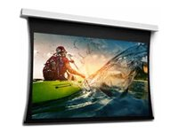 Da-Lite Tensioned DescenderPro - Projektorduk - takmontering - motoriserad - 230 V - 125.59" (319 cm) - 16:10 - Matte White (Tensioned) - RAL 9016, matt vit 10106676