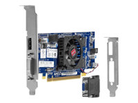 AMD Radeon HD 7450 - Grafikkort - Radeon HD 7450 - 1 GB GDDR3 - PCIe 2.0 x16 låg profil - DVI, DisplayPort - för HP 4000, 6005, 6200, 6300, 6305, 8200, Elite 8300 B1R44AA