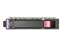 HPE Enterprise - Hårddisk - 300 GB - hot-swap - 3.5" LFF - SAS 12Gb/s - 15000 rpm - för HP D6000; HPE D2600 737390-B21