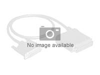 Fujitsu - Extern SAS-kabel - 26-pin 4x skärmad Mini MultiLane SAS (SFF-8088) till 26-pin 4x skärmad Mini MultiLane SAS (SFF-8088) - 2 m - för PRIMECENTER M1 S26361-F3246-L202