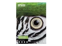 Epson Fine Art - Bomull - slät matt - 490 mikron - ljus - A4 (210 x 297 mm) - 300 g/m² - 25 ark lumppapper - för SureColor SC-P20000, P600, P6000, P700, P7000, P800, P8000, P900, P9000 C13S450274