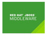 JBoss A-MQ - Premiumabonnemang (förnyelse) (1 år) - 16 kärnor MW2360014RN