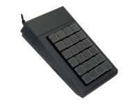 Active Key AK-100/24 - Tangentbord - PS/2 - svart AK-100-PW-B/24