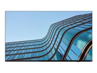 Lenovo ThinkVision E55 LFD - 55" Diagonal klass (54.6" visbar) LED-bakgrundsbelyst LCD-skärm - interaktiv - 4K UHD (2160p) 3840 x 2160 - HDR - Direct LED - svart 64A9GAT1EK