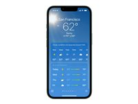 Apple iPhone 13 - 5G smartphone - dual-SIM / Internminne 512 GB - OLED-skärm - 6.1" - 2532 x 1170 pixlar - 2 bakre kameror 12 MP, 12 MP - front camera 12 MP - grön MNGM3QN/A