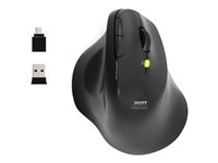 PORT Connect Professional ERGO SOFT - Mus - ergonomisk - högerhänt - optisk - 5 knappar - trådlös - 2.4 GHz, Bluetooth - trådlös USB-mottagare 910200